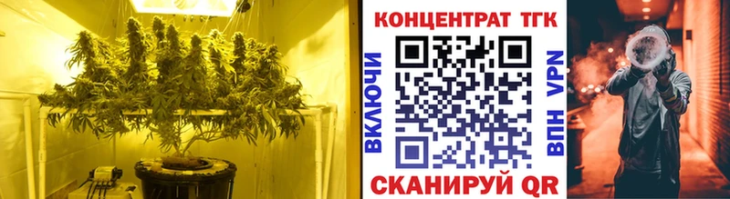 даркнет сайт  Северская  ТГК Wax 